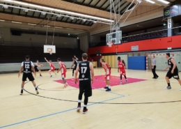 Giraffen testen gegen ProB Team